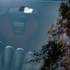 Illustration for article titled Cars Coffee down on Turbo Drive in Brisbane.